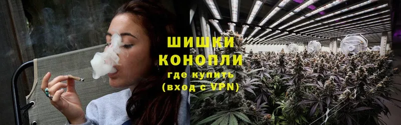 Шишки марихуана White Widow  купить наркоту  Каменск-Шахтинский 